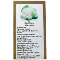 6 Degrees East Heirloom Veg Seeds - Cauliflower - Marzatico (White)